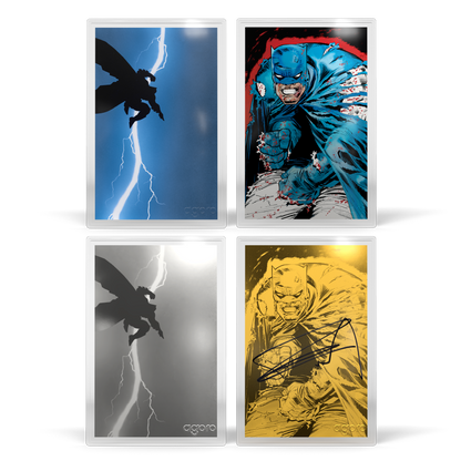 Batman: The Dark Knight Returns™ - Blind Box