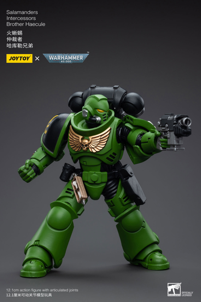 Salamanders Intercessors Brother Haecule