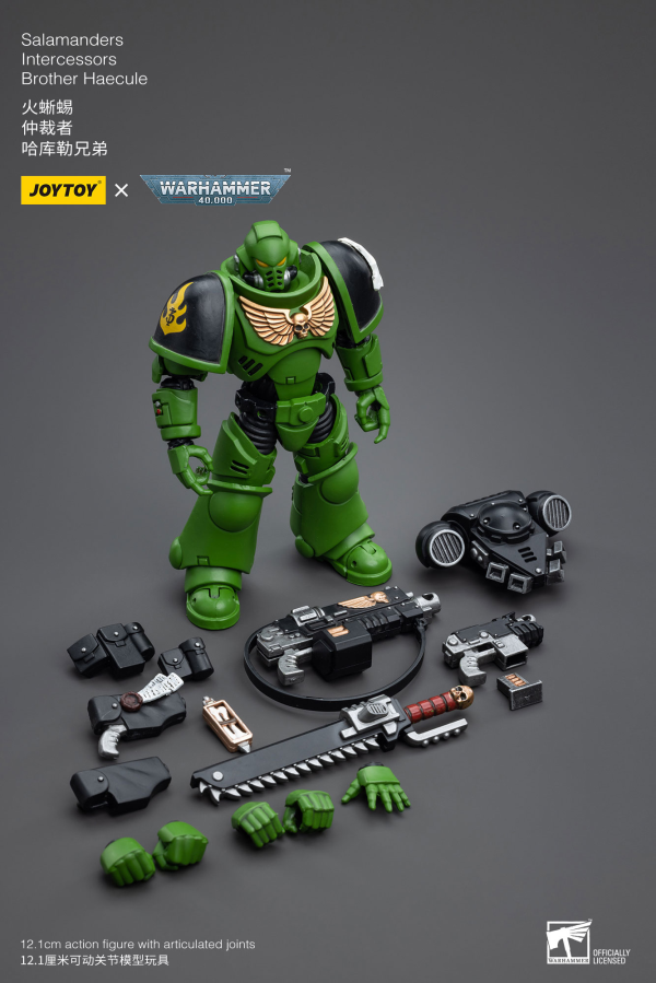 Salamanders Intercessors Brother Haecule