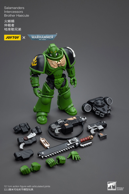 Salamanders Intercessors Brother Haecule