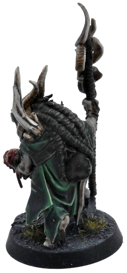 WARHAMMER QUEST Shaman Foulhoof Darkwater #1 PRO PAINTED COMMISSION Sigmar 1350