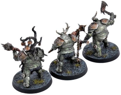 WARHAMMER QUEST 3 Blight Templars Darkwater #1 PRO PAINTED COMMISSION Sigmar