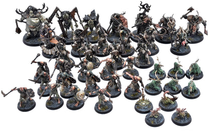 WARHAMMER QUEST Scions O/e Plaguefather Darkwater #1 COMMISSION PRO PAINTED 1367