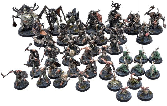 WARHAMMER QUEST Scions O/e Plaguefather Darkwater #1 COMMISSION PRO PAINTED 1367