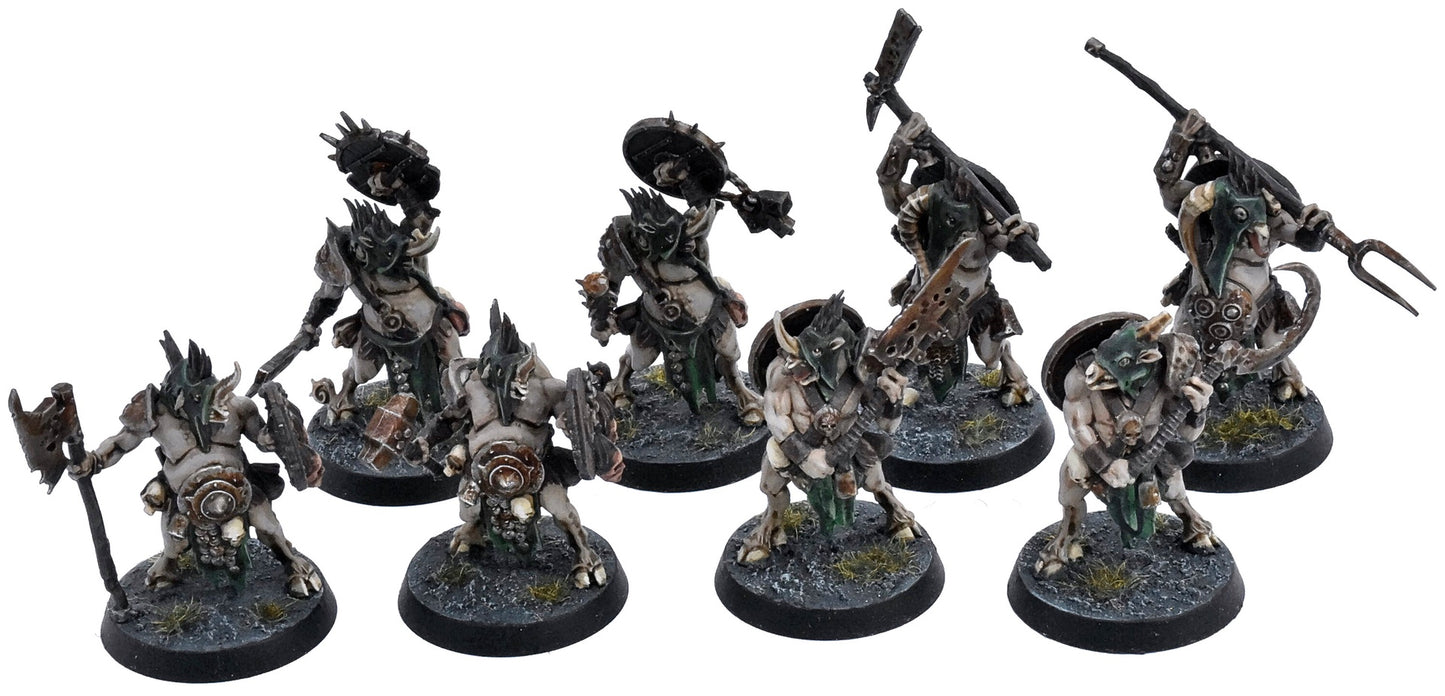 WARHAMMER QUEST 8 Pestigors Darkwater #1 PRO PAINTED Warhammer Sigmar 1244
