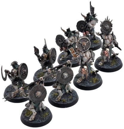 WARHAMMER QUEST 8 Pestigors Darkwater #1 PRO PAINTED Warhammer Sigmar 1244