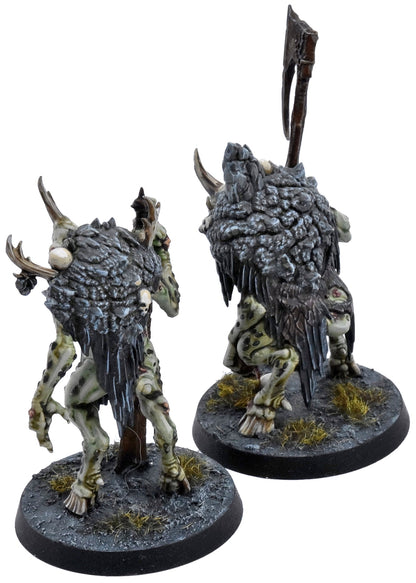 WARHAMMER QUEST Cankerborn Darkwater #1 PRO PAINTED COMMISSION Sigmar 1299