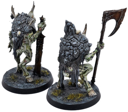 WARHAMMER QUEST Cankerborn Darkwater #1 PRO PAINTED Warhammer Sigmar 1282