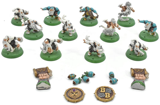 BLOOD BOWL 12 Dwarf Team #1 Warhammer Sigmar 4251