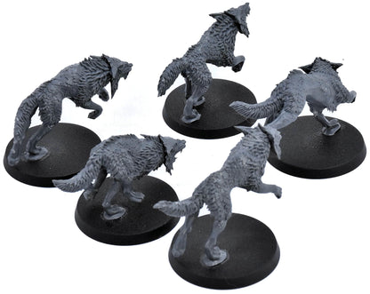 SPACE WOLVES 5 Fenrisian Wolves #1 Warhammer 40K 1855