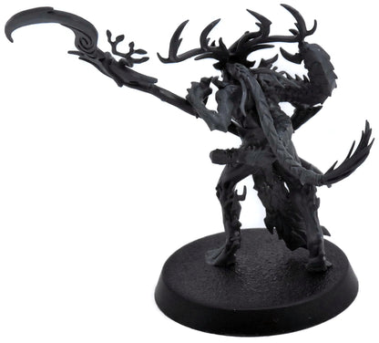 SYLVANETH Branchwych #1 Warhammer Sigmar 2627