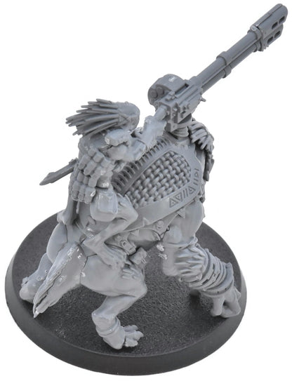 TAU EMPIRE Krootox Rider #3 Warhammer 40K 6071