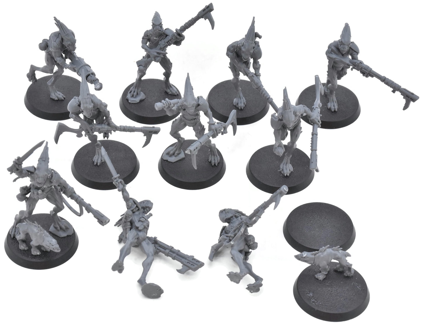 TAU EMPIRE 10 Kroot Carnivore Squad #1 Warhammer 40K 6095