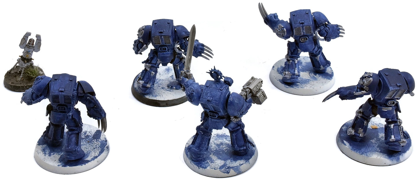 SPACE MARINES 5 Terminators #2 Warhammer 40K 3652