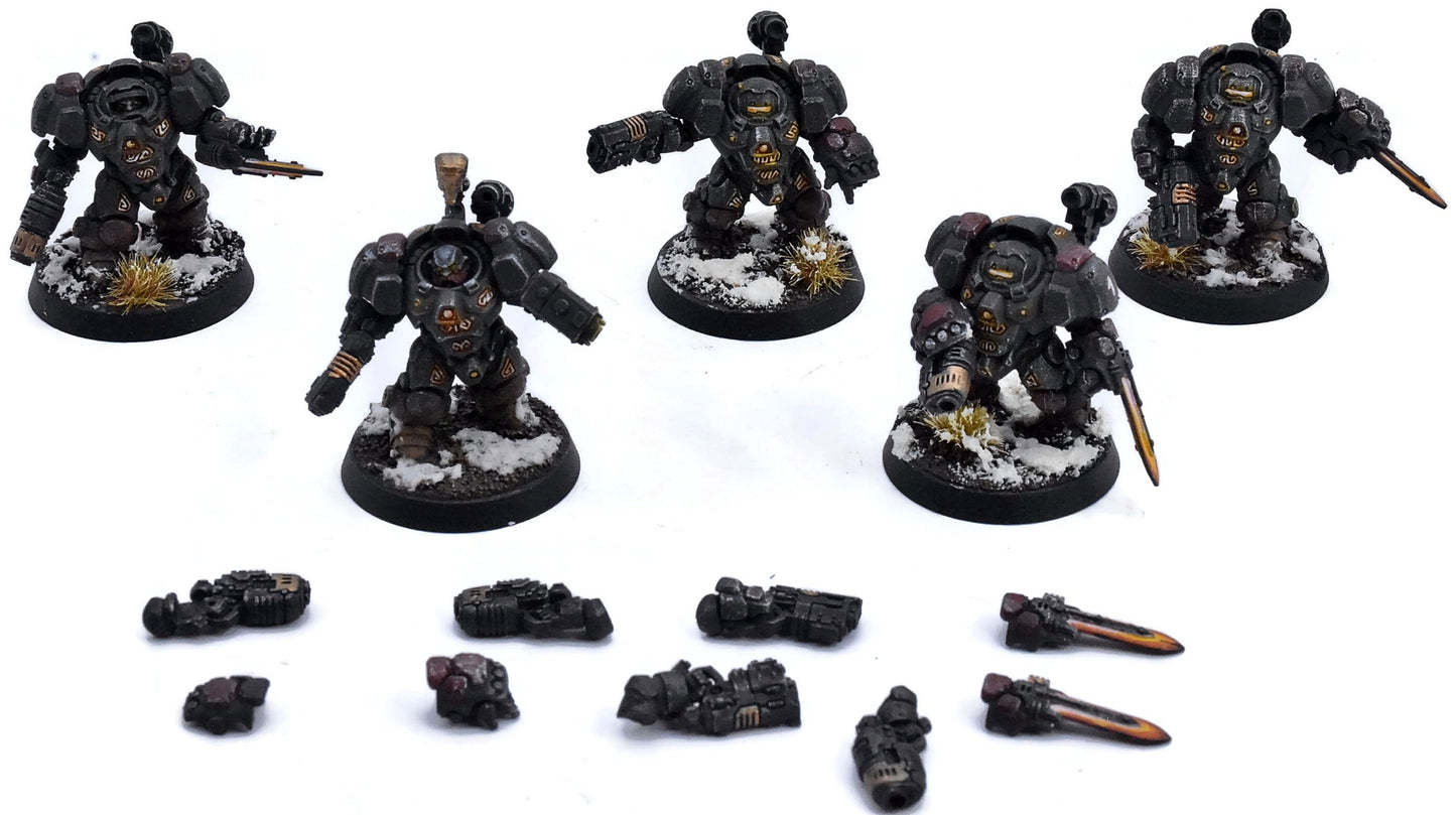 LEAGUES OF VOTANN 5 Einhyr Hearthguard #2 PRO PAINTED Magnetized 40K 3775