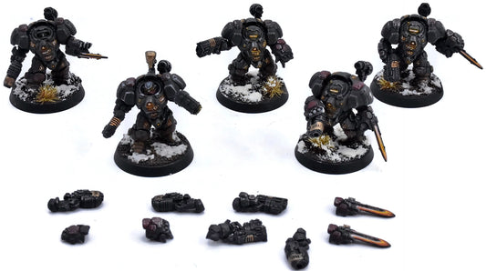 LEAGUES OF VOTANN 5 Einhyr Hearthguard #2 PRO PAINTED Magnetized 40K 3775