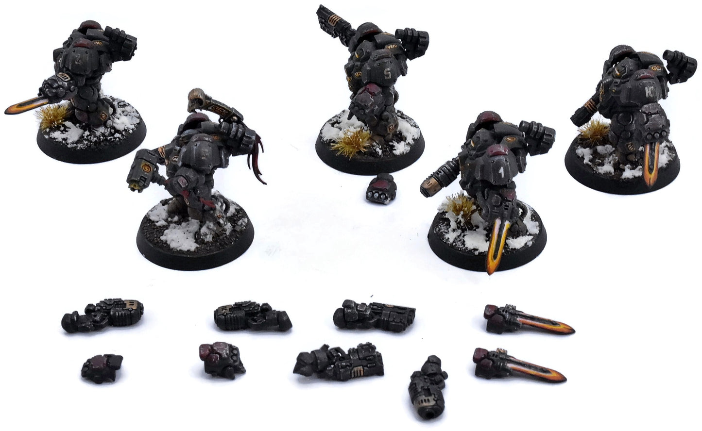 LEAGUES OF VOTANN 5 Einhyr Hearthguard #2 PRO PAINTED Magnetized 40K 3775