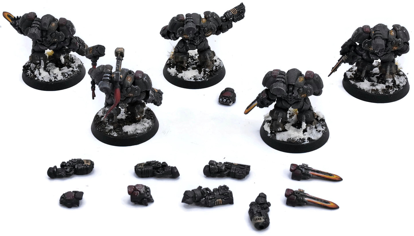 LEAGUES OF VOTANN 5 Einhyr Hearthguard #2 PRO PAINTED Magnetized 40K 3775
