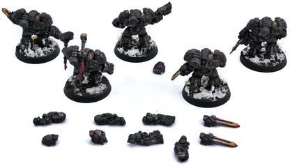 LEAGUES OF VOTANN 5 Einhyr Hearthguard #2 PRO PAINTED Magnetized 40K 3775
