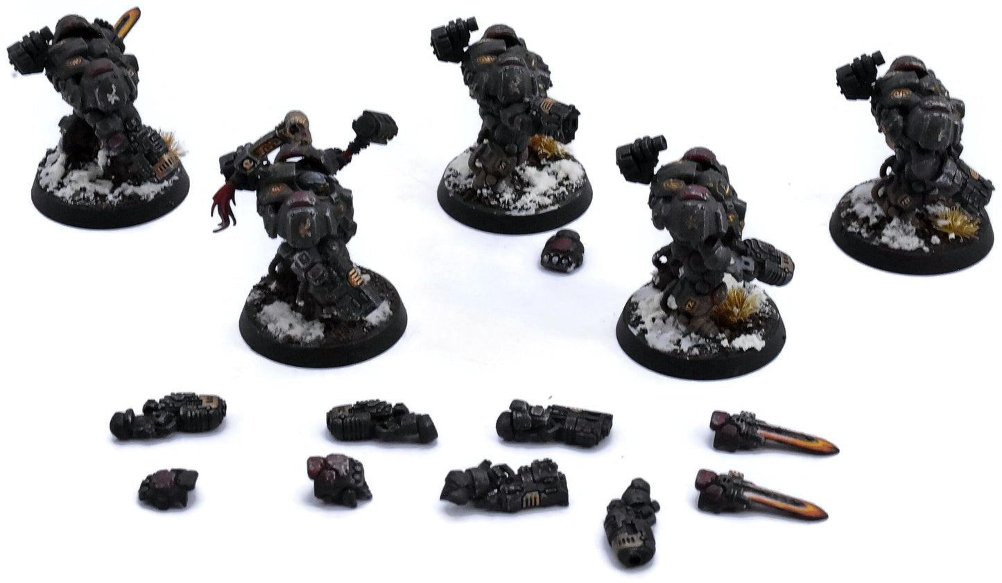 LEAGUES OF VOTANN 5 Einhyr Hearthguard #2 PRO PAINTED Magnetized 40K 3775