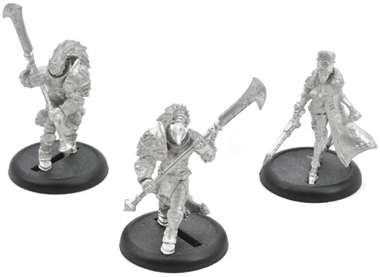 WARMACHINE Obavnik Kommander Zerkova & Reaver Guard #1 METAL Warmachine 6354
