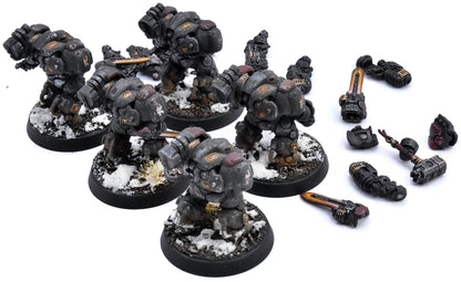 LEAGUES OF VOTANN 5 Einhyr Hearthguard #3 PRO PAINTED Magnetized 40K 3805