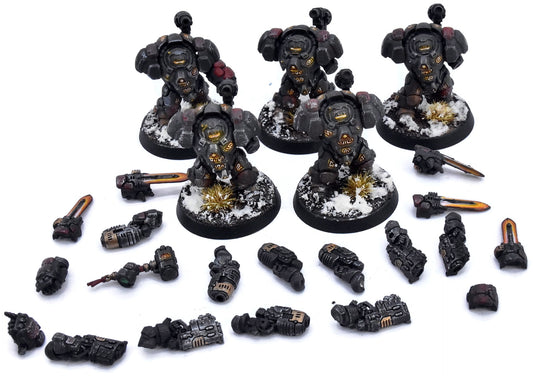 LEAGUES OF VOTANN 5 Einhyr Hearthguard #1 PRO PAINTED Magnetized 40K 3836