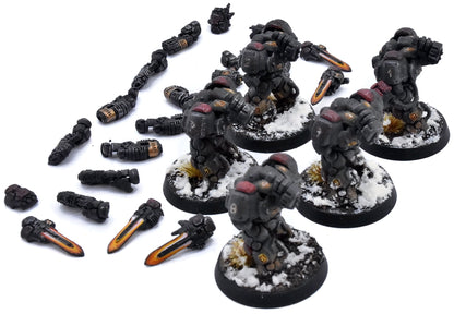 LEAGUES OF VOTANN 5 Einhyr Hearthguard #1 PRO PAINTED Magnetized 40K 3836
