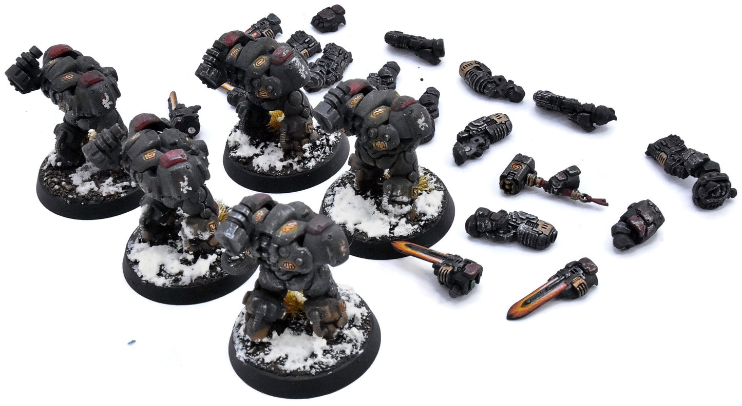 LEAGUES OF VOTANN 5 Einhyr Hearthguard #1 PRO PAINTED Magnetized 40K 3836