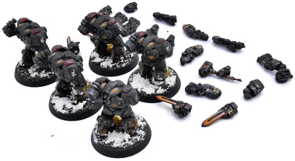 LEAGUES OF VOTANN 5 Einhyr Hearthguard #1 PRO PAINTED Magnetized 40K 3836