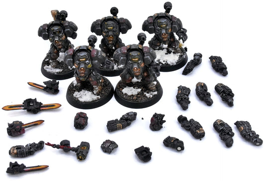 LEAGUES OF VOTANN 5 Einhyr Hearthguard #4 PRO PAINTED Magnetized 40K 3874