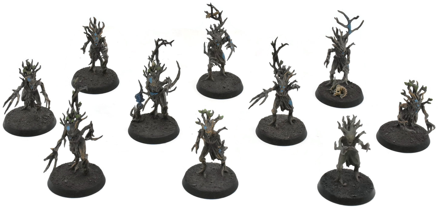 SYLVANETH 10 Dryads #1 PRO PAINTED Warhammer Sigmar 6590