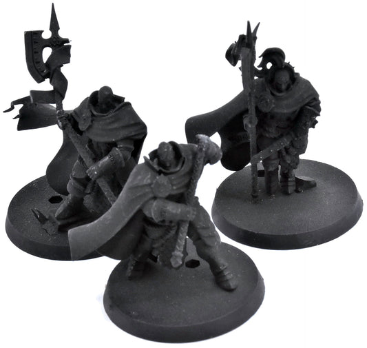 STORMCAST ETERNALS 3 Praetors #1 broken axe Sigmar 3935