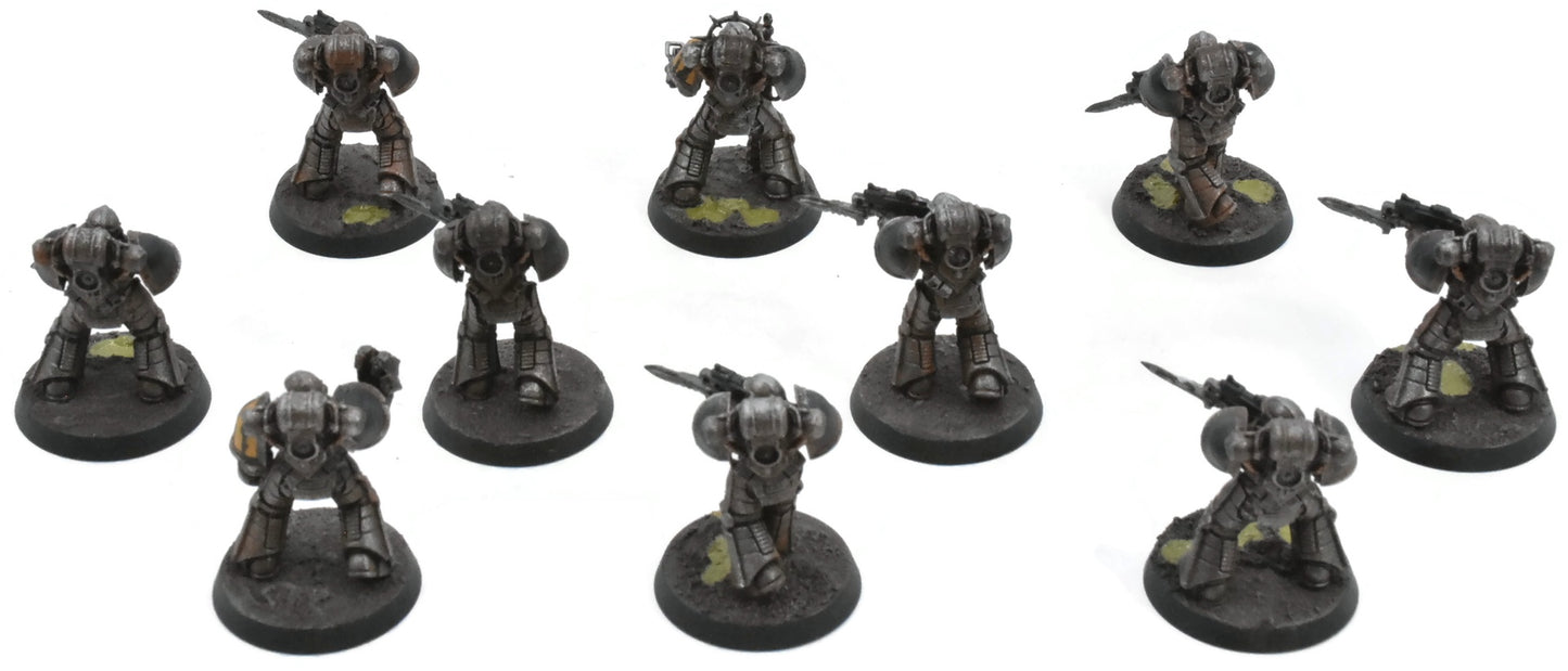 LOYALIST LEGIONS 10 Warriors Legionaries #1 PRO PAINTED Horus Heresy 6699