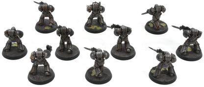 LOYALIST LEGIONS 10 Warriors Legionaries #1 PRO PAINTED Horus Heresy 6699