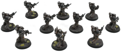 LOYALIST LEGIONS 10 Warriors Legionaries #1 PRO PAINTED Horus Heresy 6699