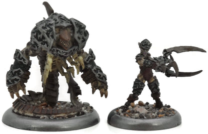 LEGION OF EVERBLIGHT Bethayne And Belphagor #1 METAL Warmachine & Hordes 7870