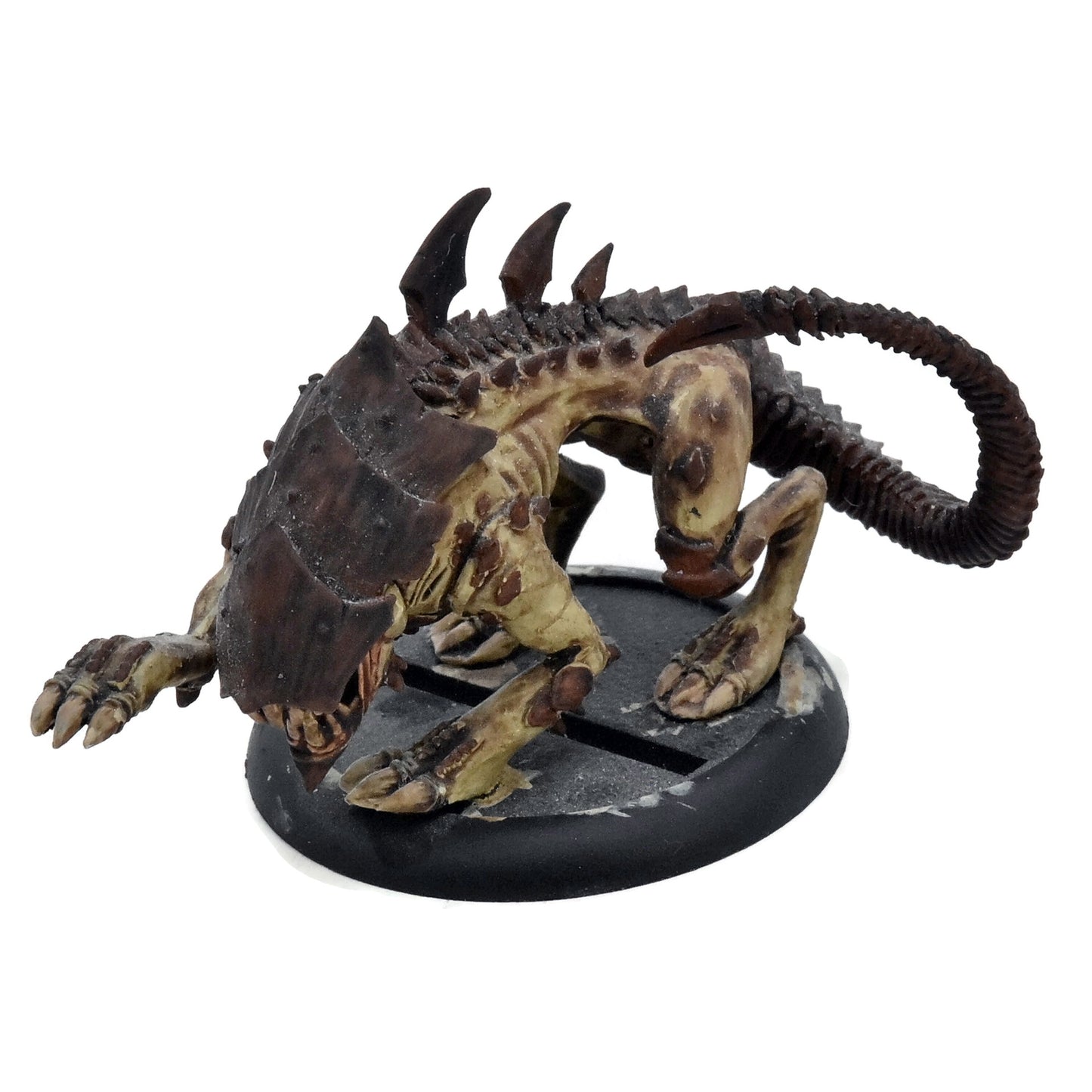 LEGION OF EVERBLIGHT Raek #1 METAL Warmachine & Hordes 7400