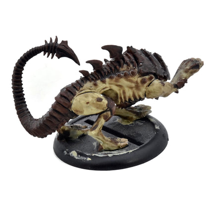 LEGION OF EVERBLIGHT Raek #1 METAL Warmachine & Hordes 7400