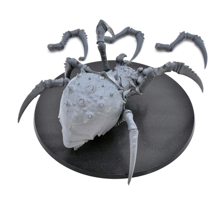 GLOOMSPITE GITZ Arachnarok Spider #1 Warhammer Sigmar no rider 7684