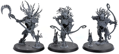 SYLVANETH 3 Kurnoth Hunters #1 Sigmar 6752