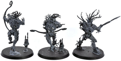 SYLVANETH 3 Kurnoth Hunters #1 Sigmar 6752