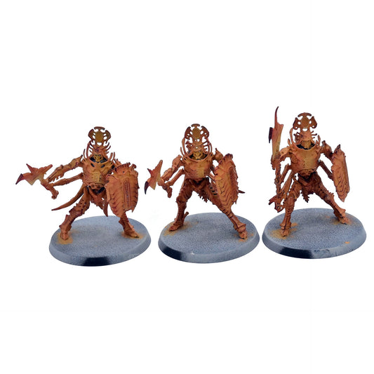OSSIARCH BONEREAPERS 3 Immortalis Guard #1 Warhammer Sigmar 8667