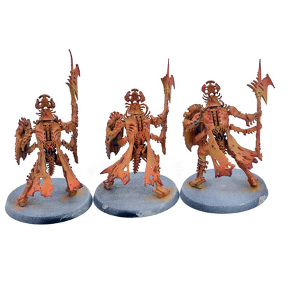 OSSIARCH BONEREAPERS 3 Immortalis Guard #1 Warhammer Sigmar 8667