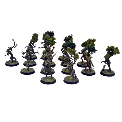 SYLVANETH 16 Dryads #3 PRO PAINTED Warhammer Sigmar 9947