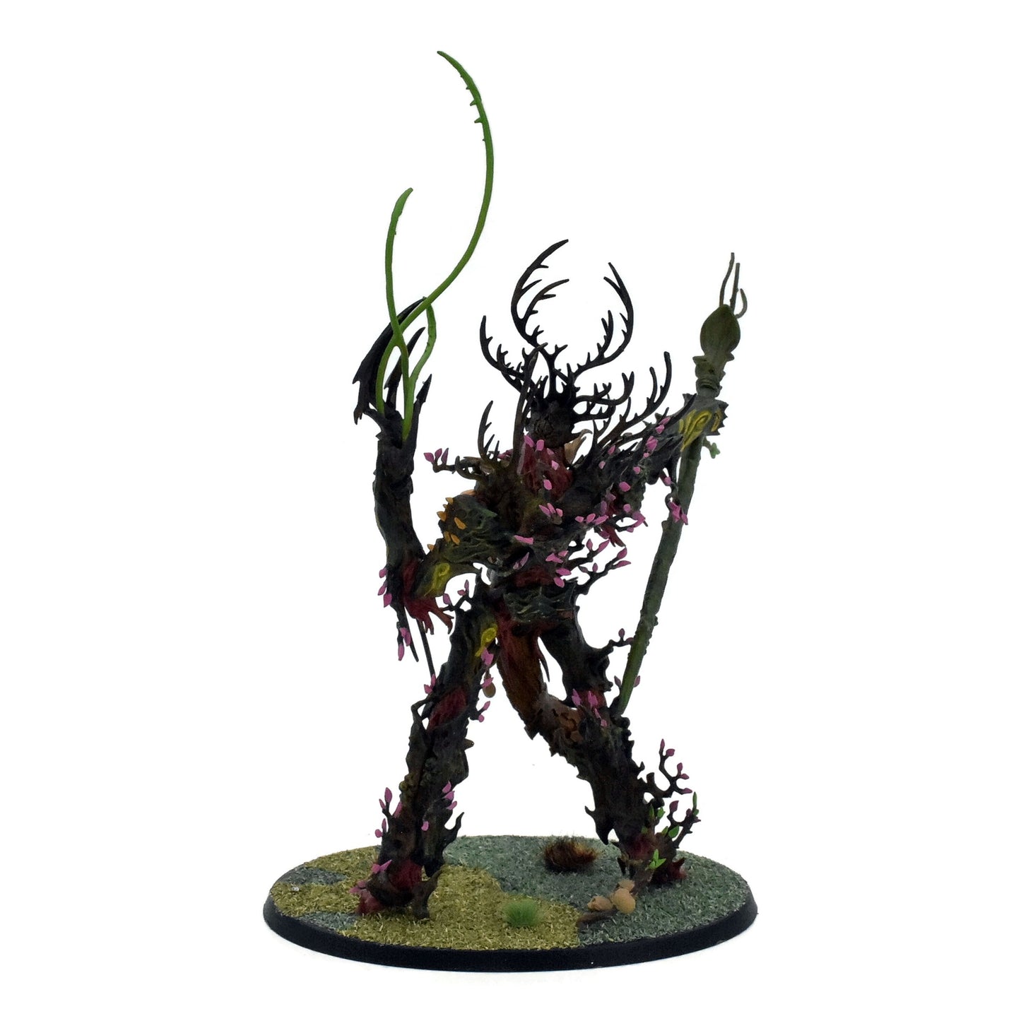 SYLVANETH Treelord Ancient #1 PRO PAINTED Warhammer Sigmar 9961