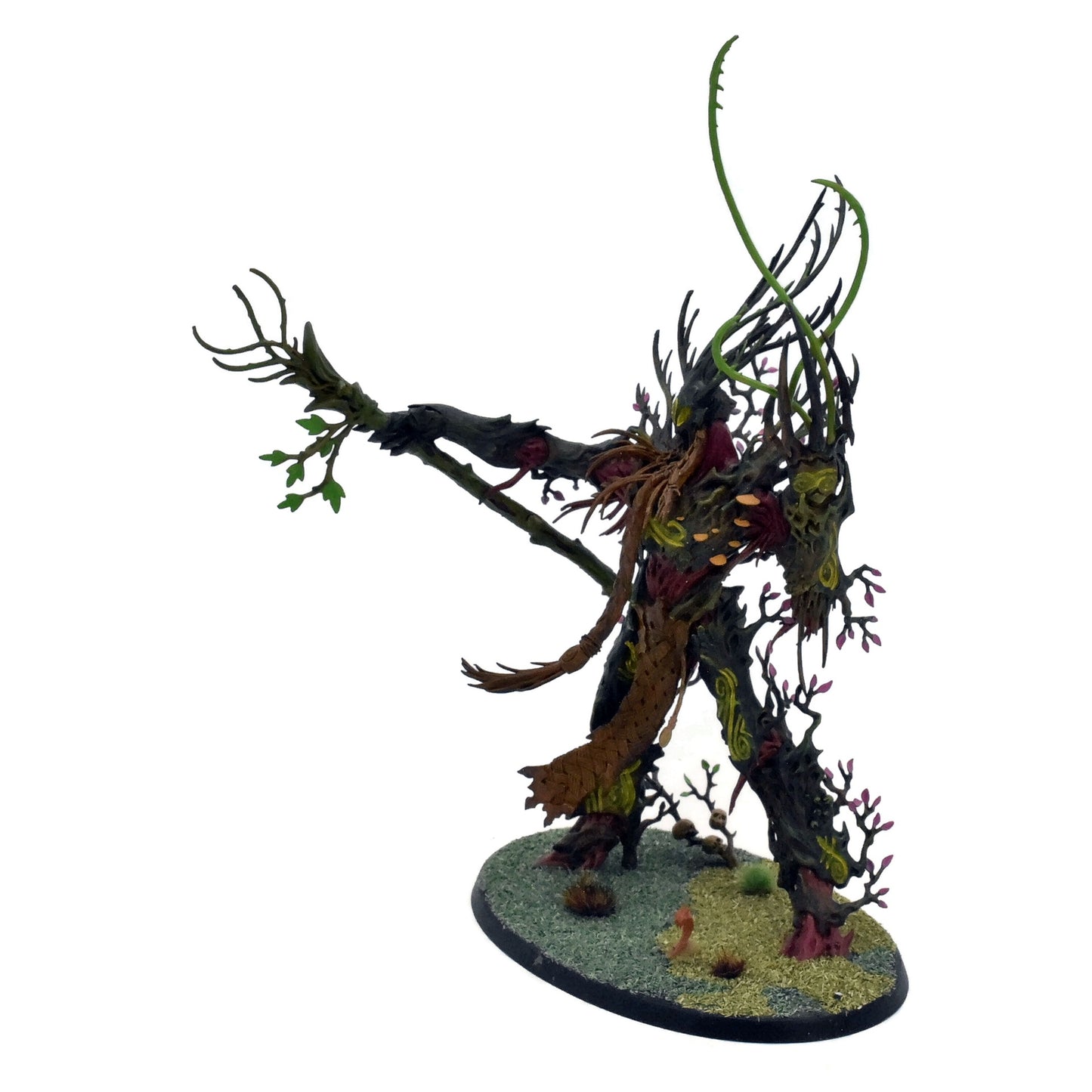 SYLVANETH Treelord Ancient #1 PRO PAINTED Warhammer Sigmar 9961