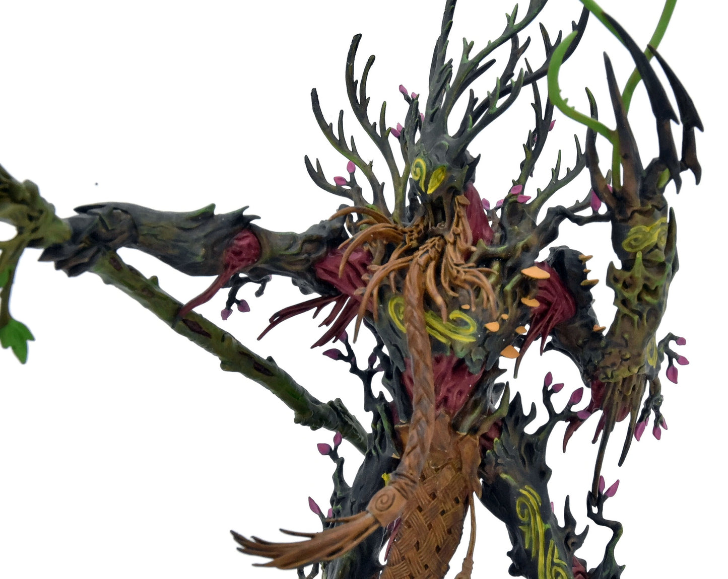 SYLVANETH Treelord Ancient #1 PRO PAINTED Warhammer Sigmar 9961