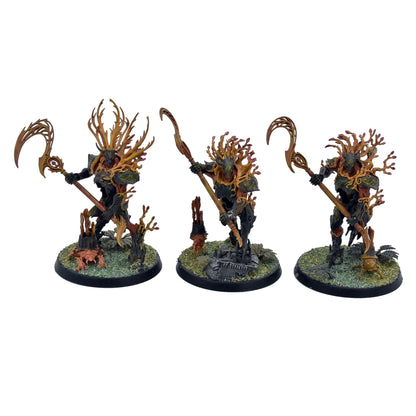 SYLVANETH 3 Kurnoth Hunters #3 PRO PAINTED Warhammer Sigmar 0004