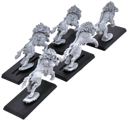SOULBLIGHT GRAVELORDS 5 Dire Wolves #1 Warhammer Sigmar 3798